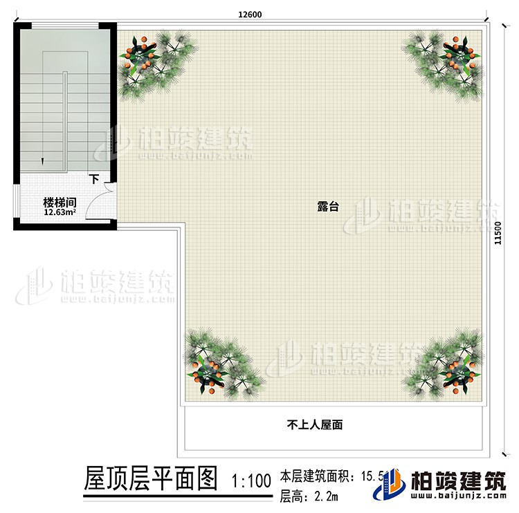 房頂：樓梯間、露台